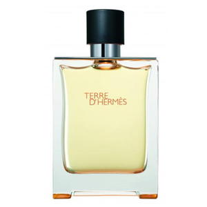 Hermes Terre dHermes EDT 100ml (M) (P2) - 2875467350