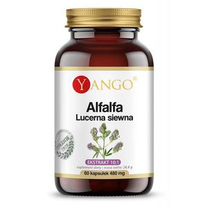 Alfalfa - Lucerna siewna (60 kaps.) - 2874600792