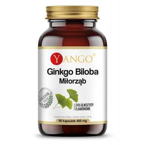 Ginkgo biloba - ekstrakt (90 kaps.) - 2874601062