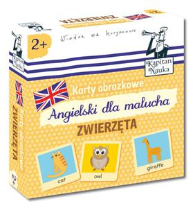 Karty obrazkowe Angielski Dla Malucha - Zwierzta - 2843858472