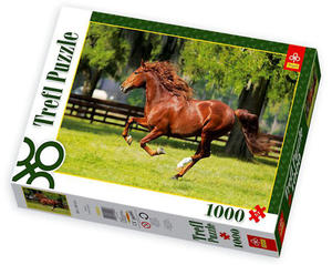 1000 EL. GALOP - 2825163735