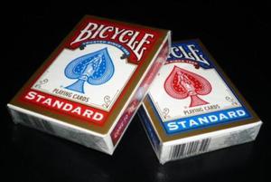 Bicycle: Rider Back Standard - 2825164636