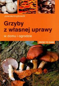 Grzyby z wasnej uprawy - 2824302437