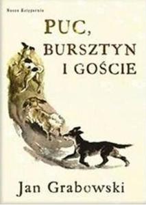 Puc, Bursztyn i gocie - 2824296253