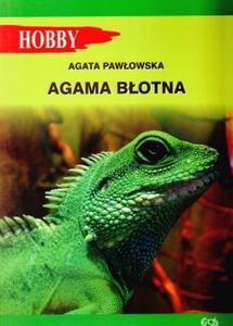 Agama botna - 2824284988