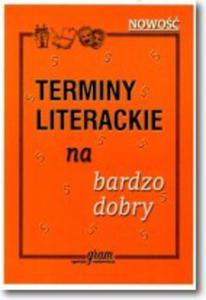 Terminy literackie na bardzo dobry - 2824281596