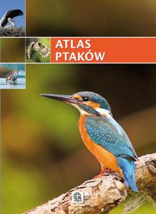 Atlas ptakw - 2824271034