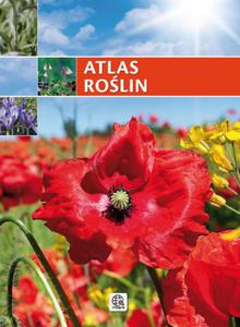 Atlas rolin - 2824271033