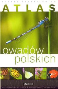 Atlas owadw polskich - 2824264991