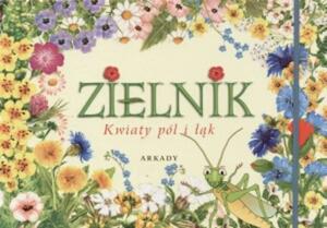 Zielnik. Kwiaty pl i k - 2850397664