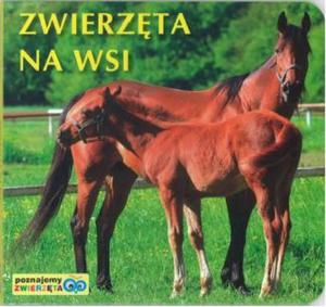 Zwierzta na wsi. Poznajemy zwierzta - 2847064462