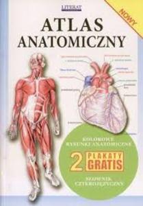 Atlas anatomiczny - 2824237679