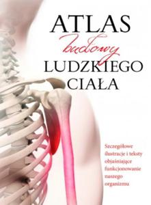 Atlas budowy ludzkiego ciaa - 2856241592