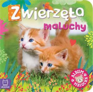 Album malucha. Zwierzta maluchy - 2863297117