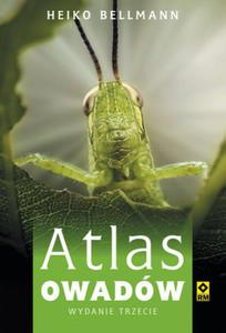 Atlas owadw - 2863294980