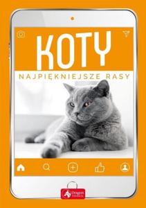 Koty Najpikniejsze rasy - 2862785307