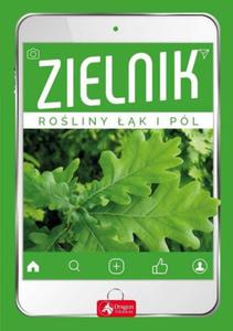 Zielnik - 2862785138