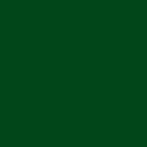 Farba A10 Dark Green (G) (6 szt) - 2853761731