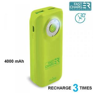 PURO Universal External Fast Charger Battery - Uniwersalny Power Bank 4000 mAh, 2 x USB, 2.4 A (limonkowy) - 2856220859