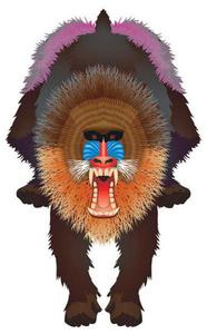 Latawiec BRAINSTORM - WNS Rainforest 44x28'' Nylon Mandrill - 2855512339