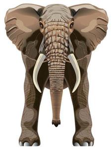 Latawiec BRAINSTORM - WNS SkyZoo 40x30'' Nylon Elephant - 2855512344