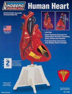 Model plastikowy Lindberg - Ludzkie serce - 2855512491