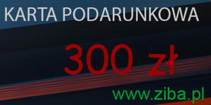 KARTY PODARUNKOWE, BONY ZAKUPOWE 300-500 PLN - 2860517331