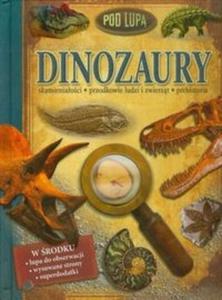 Dinozaury Pod lup - 2825704653