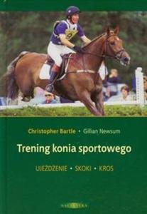 Trening konia sportowego - 2825705894