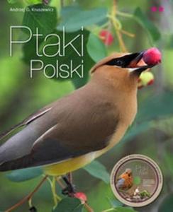 Ptaki Polski cz 2 z pyt CD - 2825705976