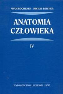 Anatomia czowieka. Tom 4