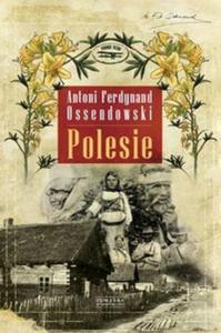 Polesie - 2825706926