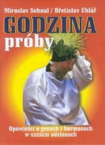 Godzina prby - 2825707881