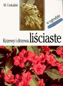 Krzewy i drzewa liciaste w ogrodzie - 2825651806