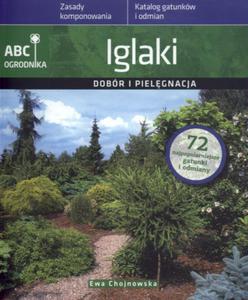 Iglaki Dobr i pielgnacja - 2825711149