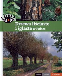 Drzewa liciaste i iglaste w Polsce Pikne ciekawe wyjtkowe - 2825711340