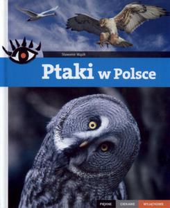 Ptaki w Polsce Pikne ciekawe wyjtkowe - 2825711344