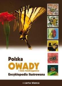 Polska Owady i inne bezkrgowce Encyklopedia ilustrowana