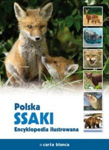 Polska Ssaki Encyklopedia ilustrowana - 2825711949