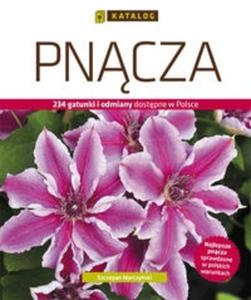 Pncza - 2825712563