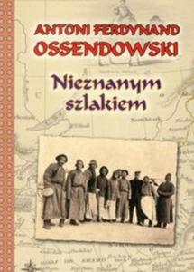 Nieznanym szlakiem - 2825714532