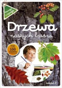 Drzewa naszych lasw cz 2 Poznaj i rysuj - 2825714994