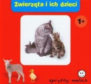 Sprytny maluch Zwierzta i ich dzieci