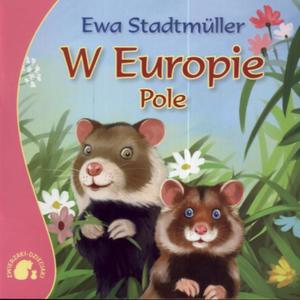 W Europie Pole - 2825715221