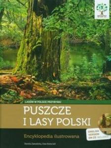 Puszcze i lasy Polski z pyt CD - 2825716585