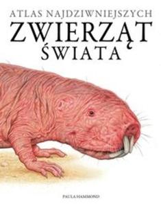 Atlas najdziwniejszych zwierzt wiata