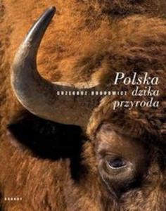 Polska dzika przyroda. ubr - 2825717021