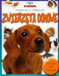 Nauka i zabawa Zwierzta domowe - 2825719423