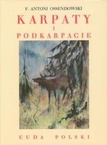 Karpaty i Podkarpacie - 2825719869