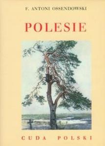 Polesie Cuda Polski - 2825719944